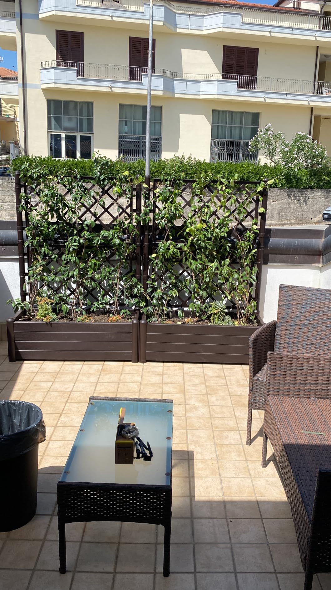 Bellissima sul terrazzo