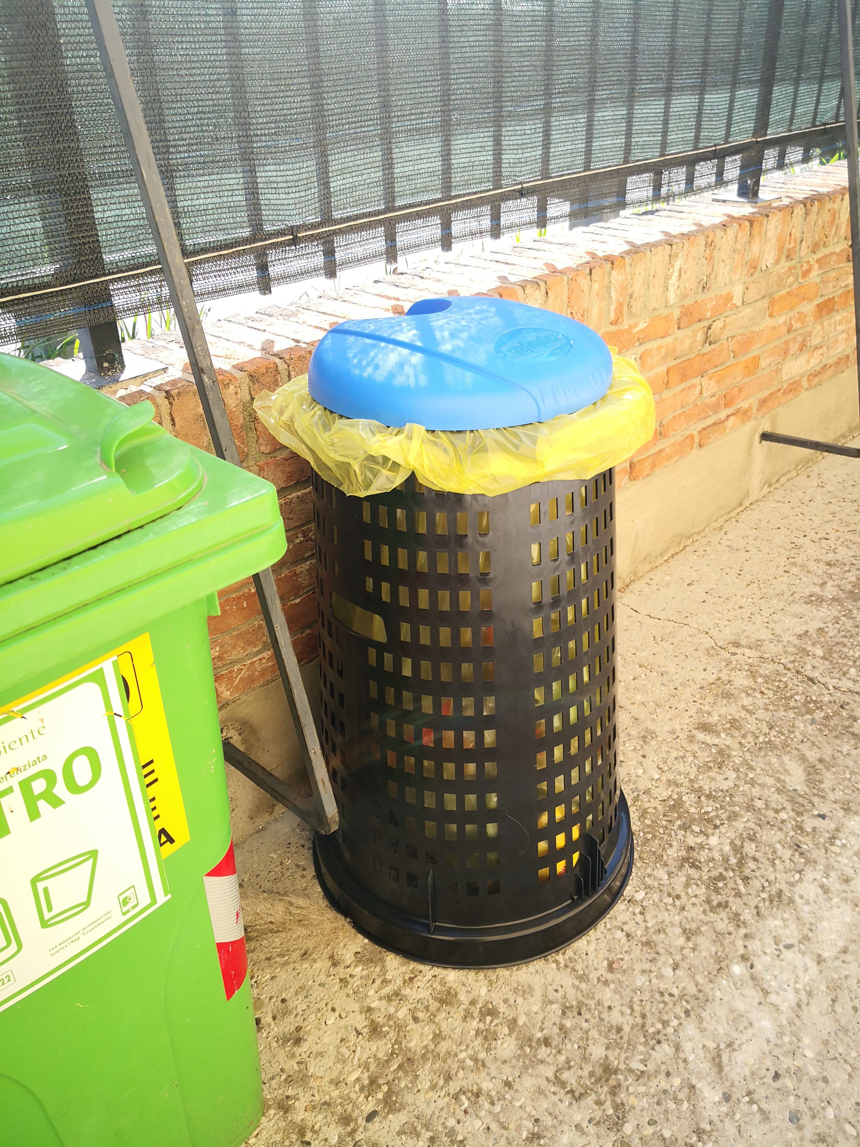 Grande ma plastica media