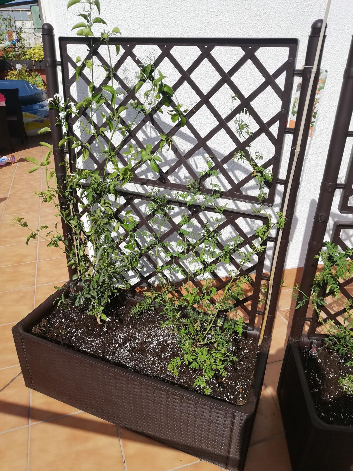 Terrazzo trasformato!
