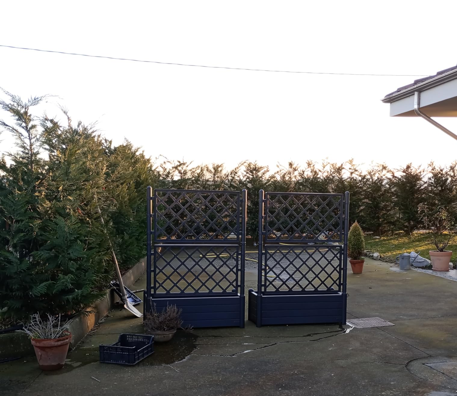 Bella ma arrivata graffiata