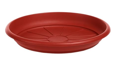 stefanplast-mediterraneo-sottovaso-in-polipropilene-marrone-52-cm image 2