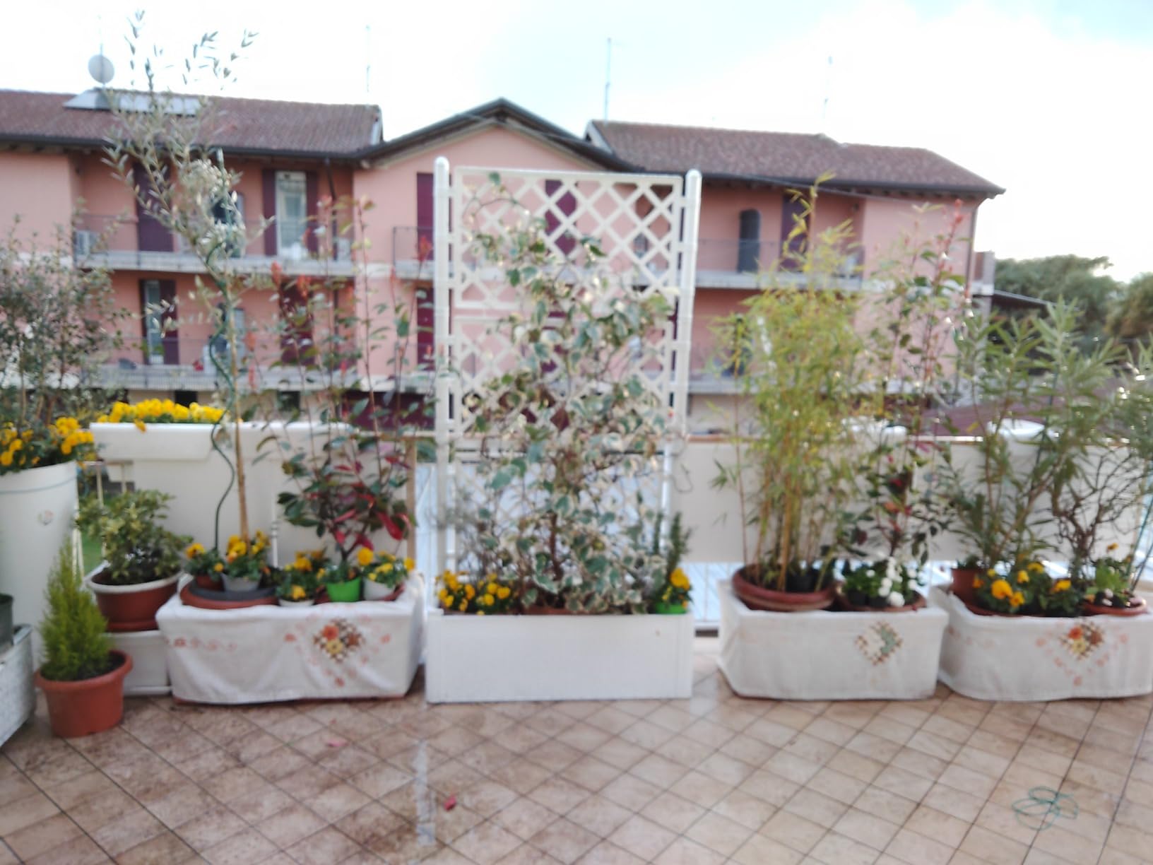 Elegantissima in terrazzo