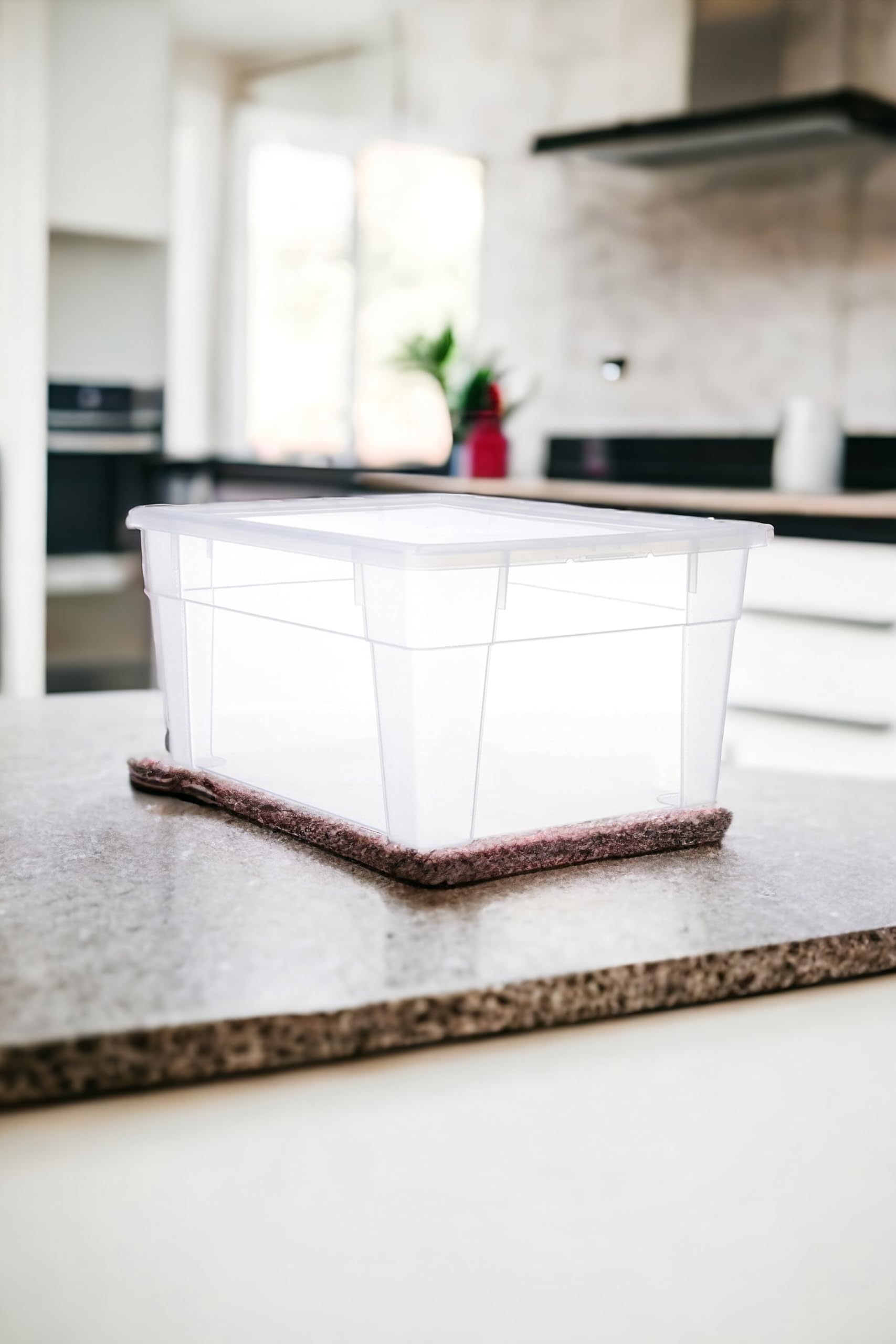 stefanplast-magic-box-2-litri-19x16-h10-cm-trasparente-con-coperchio-a-scatto image 5