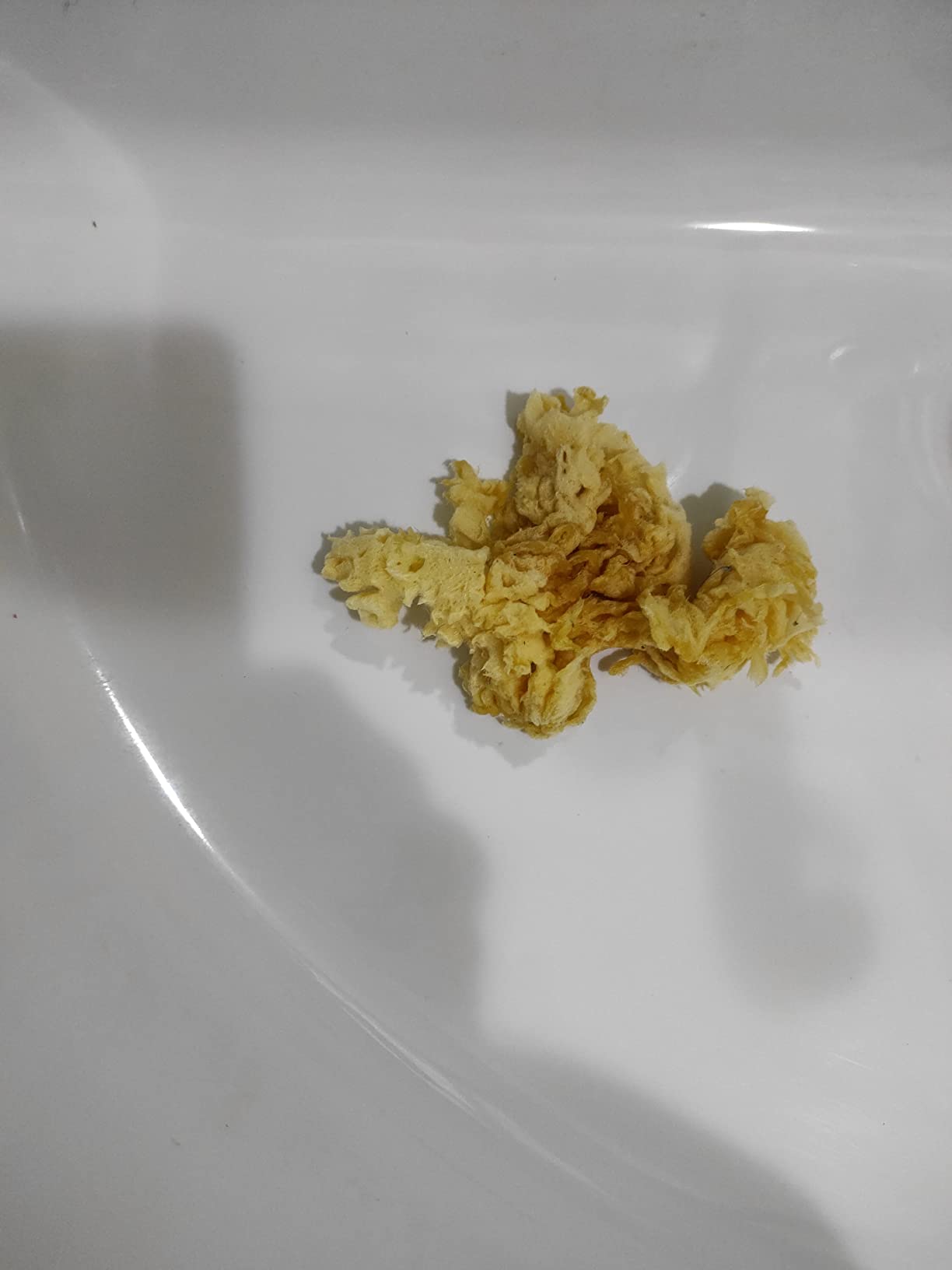 Morbidissima