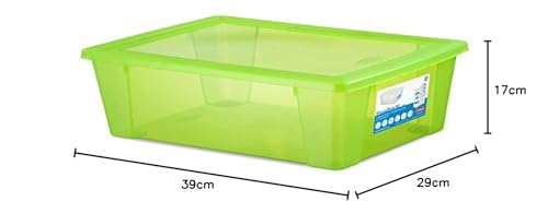 stefanplast-visualbox-contenitore-multiuso-39x29x17h-verde image 4